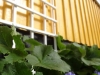 DIY-espalier-byg-selv-haveprojkter-12