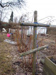 hindbaerstativ_foer