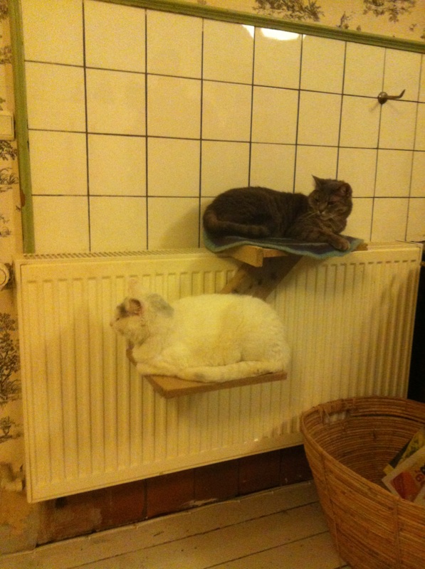 En hylde med varme til kattene