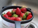 Hjemmelavet jordbær sorbet