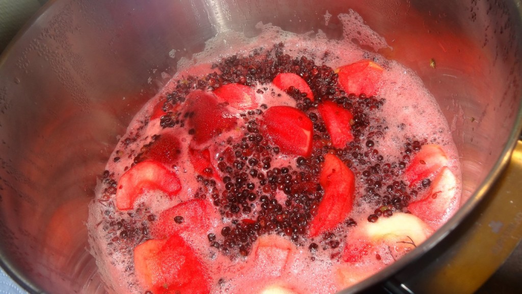 Hjemmelavet hyldebærsuppe - lad det hele koge 20 30 minutter